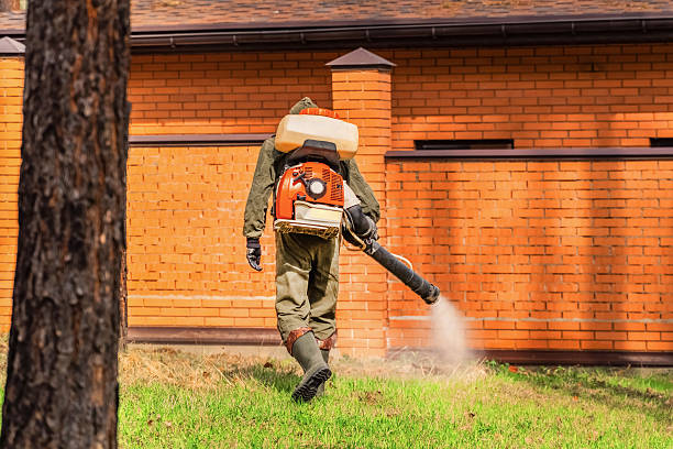 Trusted Termite Control service in Quarryville, PA - Nex Pest Control
